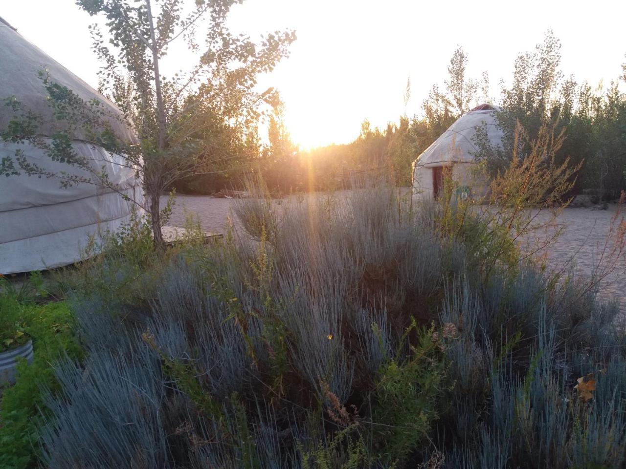 ホテル Yurt Camp Tosor エクステリア 写真